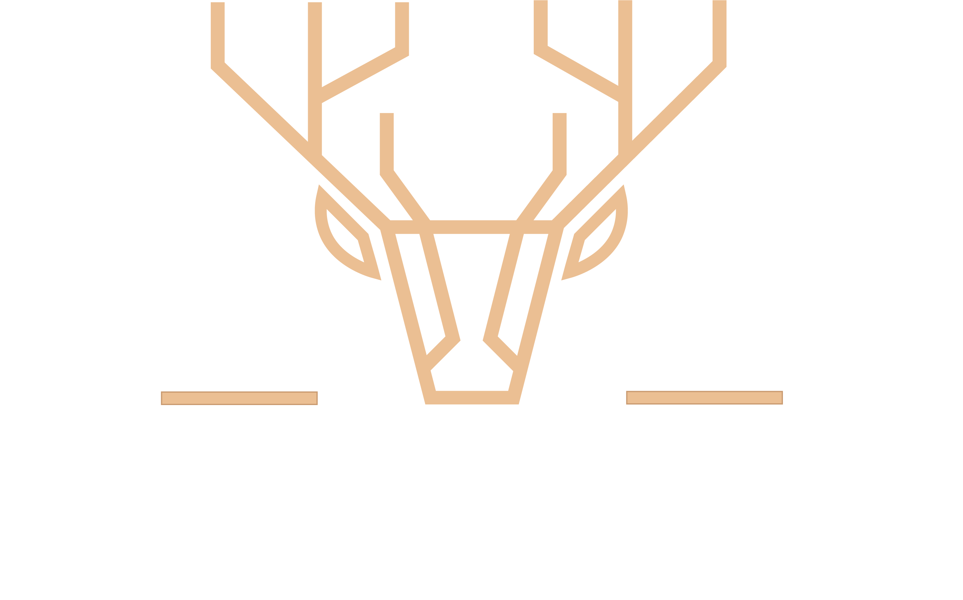 stag park